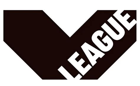 v.league division1